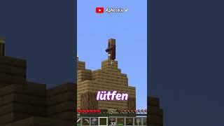 Minecraft Ama Dünyada Taş Yok