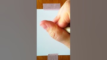 How to draw easy seagull one line art quick draw simple drawing painting bird