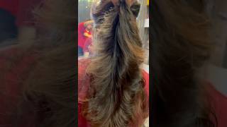 Haircut#layer cut#YouTube#short feed#short video#multi haircut#butterfly haircut💇♀️ #trending cut