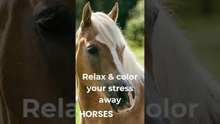 From Real Moments to Printable Horse Art 🐴✨ #Shorts #ColoringBook