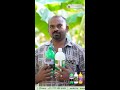 Our Banana Farmer Mr. Aadhi Narayanan from Thoothukudi shares His Results!