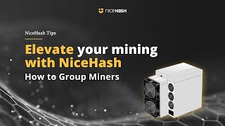 How to Group Miners to easily Organize your operations in NiceHash