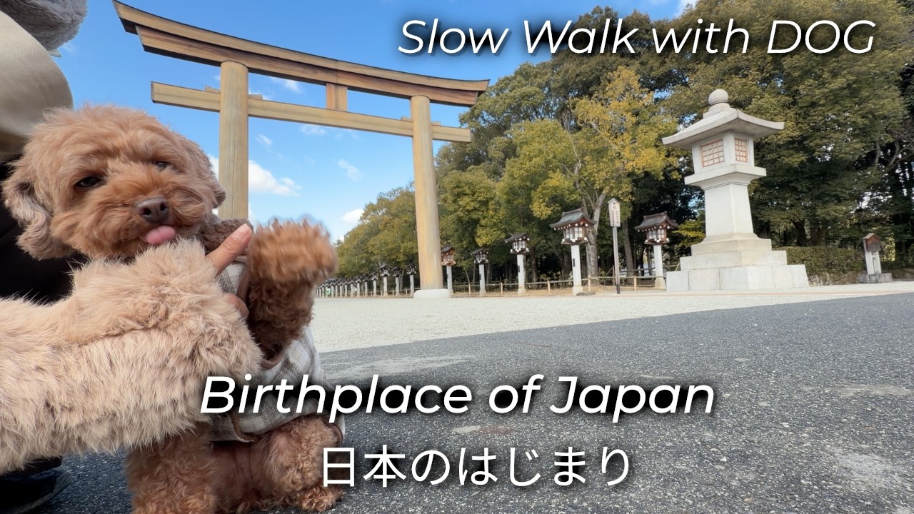 A Silent Walk Through Japan’s Origins with My Dog | Nara Cinematic Slow Travel Vlog