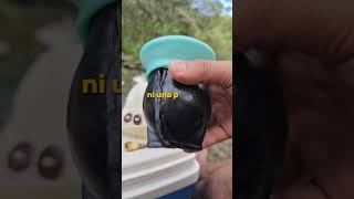 TAPA MATE #tapamate #tapabombilla #picnic #rio #vacaciones