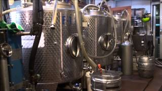 A Day in the Life of a Beer Brewer
