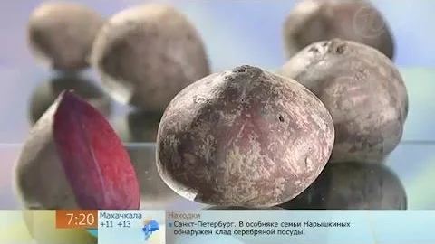 Как выбрать свеклу