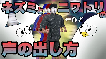 松尾のアニメ実写 Mp3