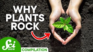 The Incredible World of Plants | SciShow Compilation