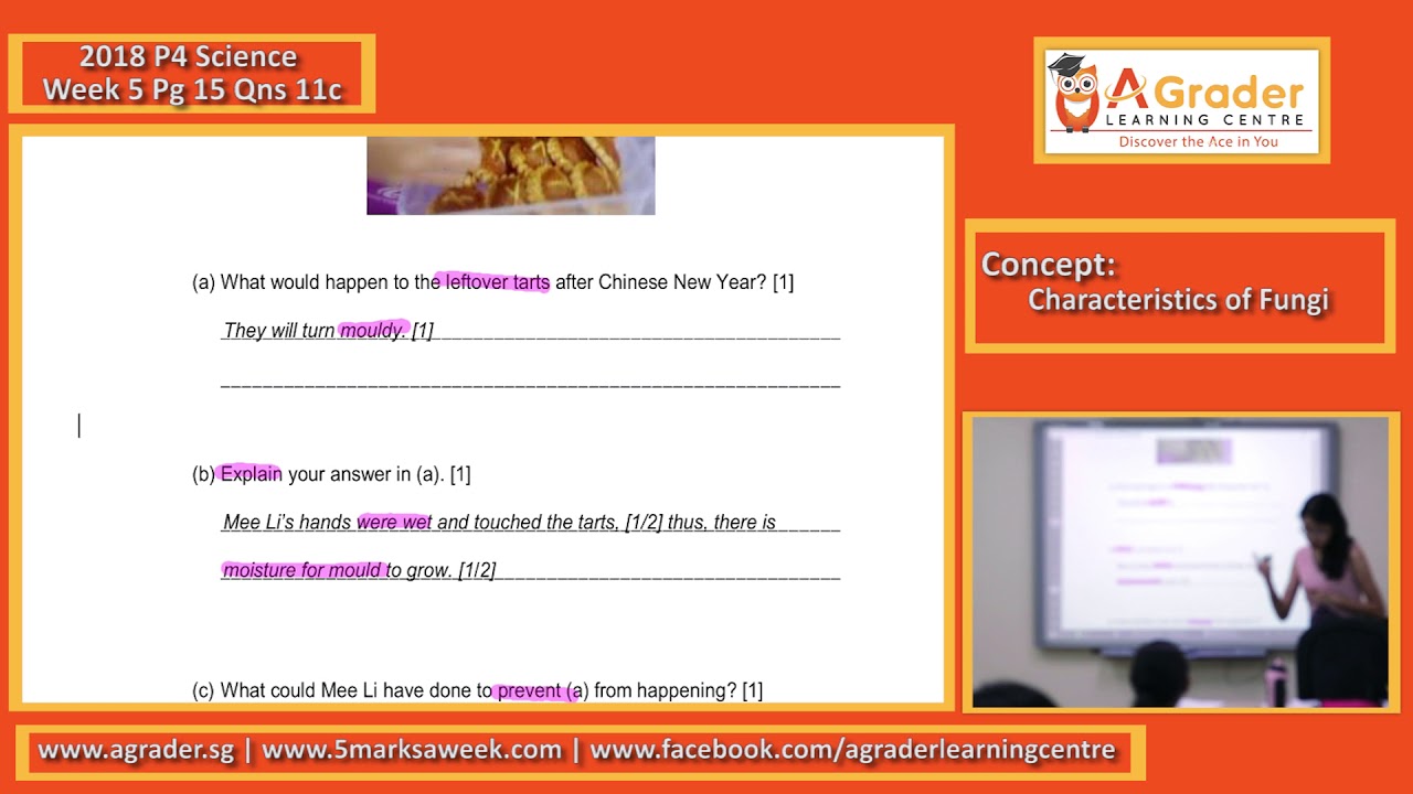 2018 - P4 Science - Week 5 - Pg 15 - Qns 11c (Characteristics of Fungi)