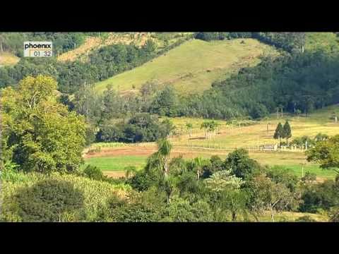 Auswandern Brasilien Auswandern Brasilien