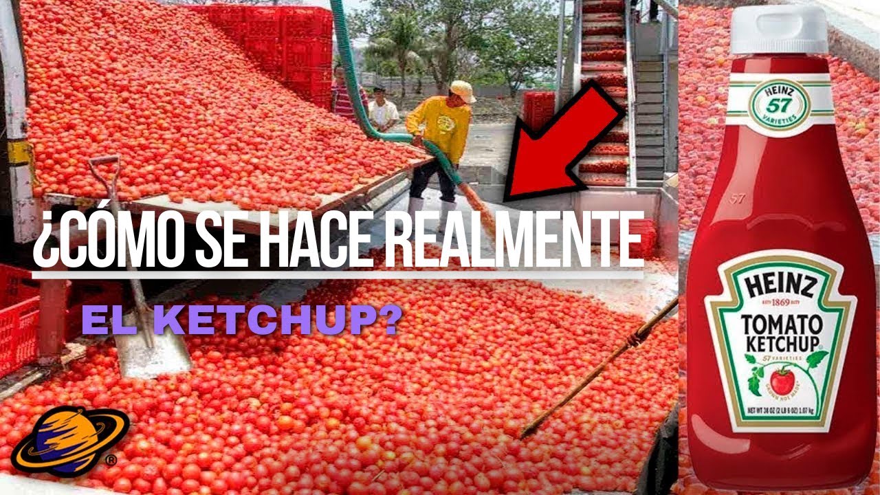 ¿Cómo se hace REALMENTE el ketchup? - YouTube