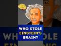 Who Stole Einstein’s Brain and Why?? | The Secret Story Revealed | Geo Digital