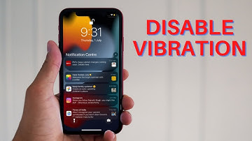 How to Disable Vibration on iPhone and iPad (2021)