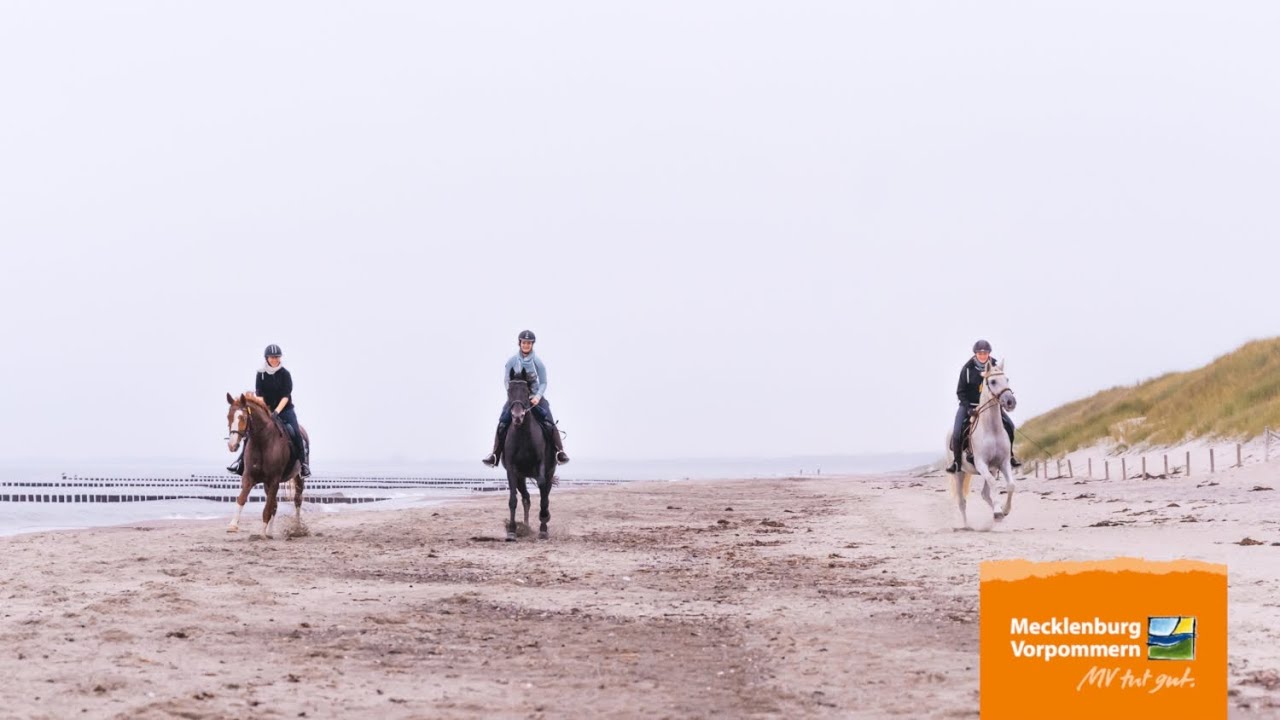 Reiterferien und Reiturlaub - vom Reiten auf dem Lande bis zum Strandreiten an der Ostsee