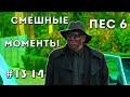 ПЕС 6 - 13,14 СЕРИЯ.  Смешные моменты