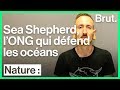 Sea shepherd  on pratique de la nonviolence agressive