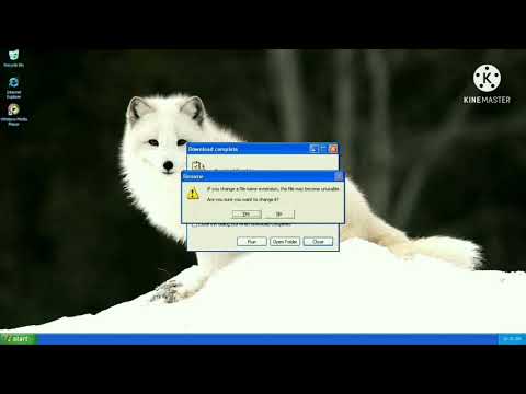 Windows XP Crazy Error