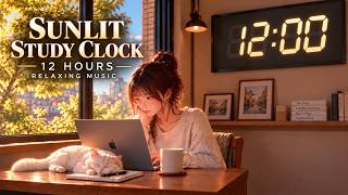 Sunlit Study Digital Clock ☀️ | 12 Hours of Relaxing Music & Cozy Ambience screenshot 1
