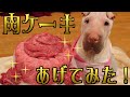 犬のYouTube史上最もゴージャスな誕生日ケーキ！これはやべぇ！！