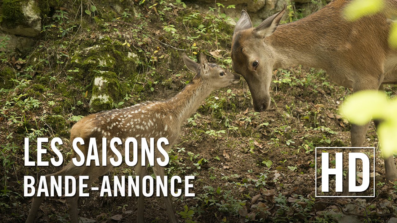Les Saisons - Bande-annonce officielle HD