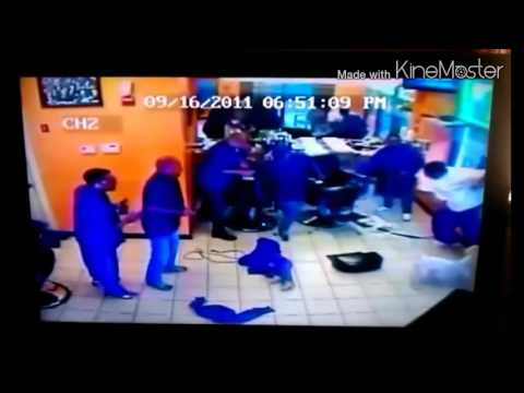 funny---dog-attacks-the-barber-shop