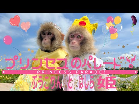 おさるにそっくりさま専用です！ 000000018223_pRacZr0.jpg