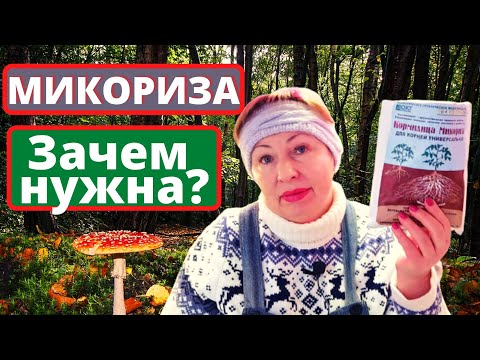 Видео: Что такое большая белая микориза?