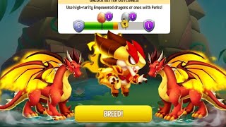 Dragon City tập 4 | Chuẩn bị trước cho sao này | dragon city