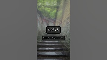 سورة الواقعة ( عمر شميم )