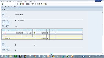 SAP Vendor Invoice\Payment\Reset\Reverse Document (FB60\F-53\FBRA\FB08)