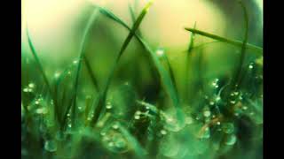 Ludovico Einaudi - Full Moon (Day 3)