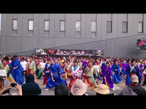 新川祭りよさこいフェスタにて総踊り二部です！