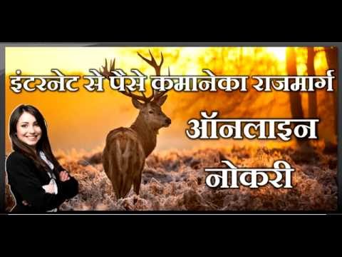 वीडियो: इंटरनेट पर कमाई। पाठ लिखना