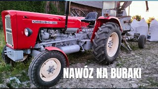 Rozsiewanie  nawozu na buraki(ursus c 360,zetor)