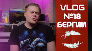 : VLOG 19 ()