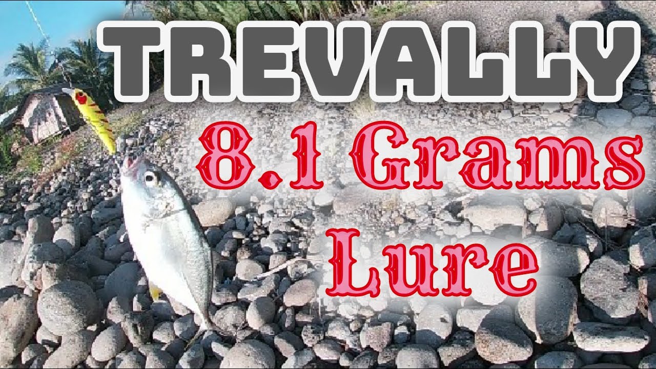 Trevally For The Month of September