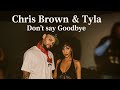 TYLA Don T Say Goodbye FT Chris Brown Official Music Visualizer TYLA Don T Say Goodbye FT Chris Brown Official Music Visualizer