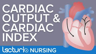 Cardiac Output & Cardiac Index Explained | Critical Care Nursing