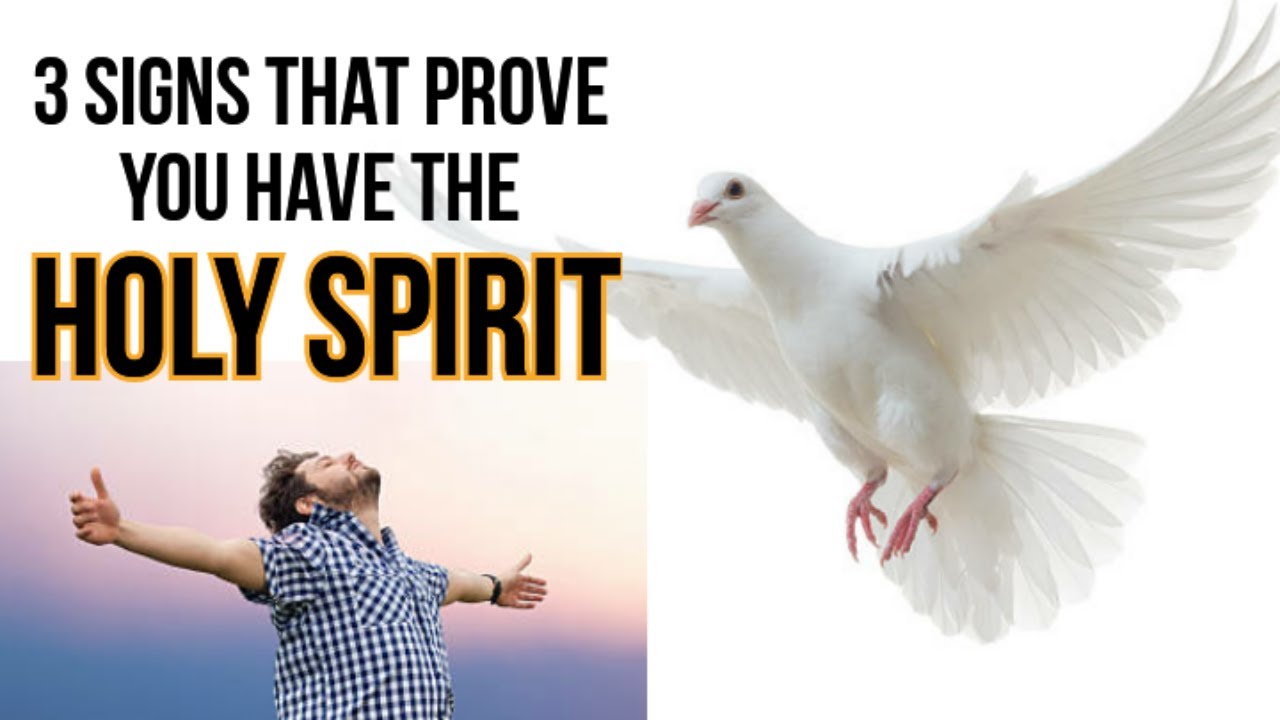 3 Signs That PROVES You Have The Holy Spirit. YouTube