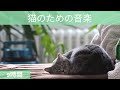 #19| 猫のための音楽🐱 猫の音楽 🐱 落ち着きのない猫をリラックスして眠りに設計された猫の音楽