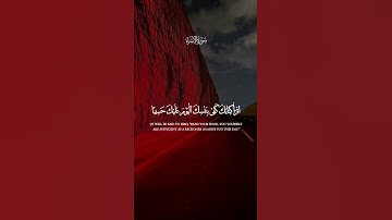 اكتشف نعمة السكينة والهدوء من خلال تلاوة القرآن الكريم