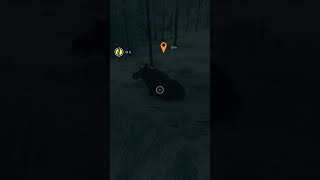 Wait A Minute Let Me Get On My Feet First!  #thehunterCOTW #ps5