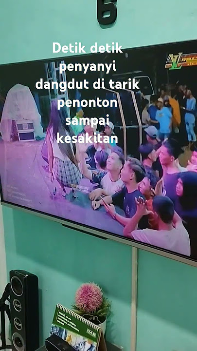 penyanyi dangdut di tarik penonton sampai kesakitan #viral #dangdut #biduancantik