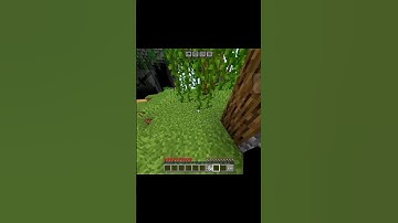 cobweb MLG 🔥 #minecraft #mlgclutch #mcpe #cobweb