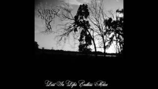 Starless Night - Lost in Life's Endless Maze