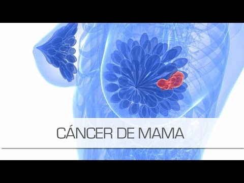 Vídeo: La Curcumina Inhibe La Migración De Células Madre Del Cáncer De Mama Al Amplificar El Ciclo De Retroalimentación Negativa E-cadherina / β-catenina