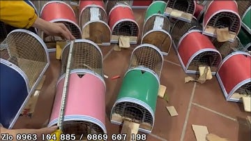 LỒNG BẪY CHUỘT THÔNG MINH.2KÍCH THƯỚC .BẮT CHUÔT TRONG BẾP HIỆU QUẢ AN TOÀN TUYỆT ĐỐI,GIÁ RẺ.