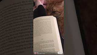 #book #cat #vlog