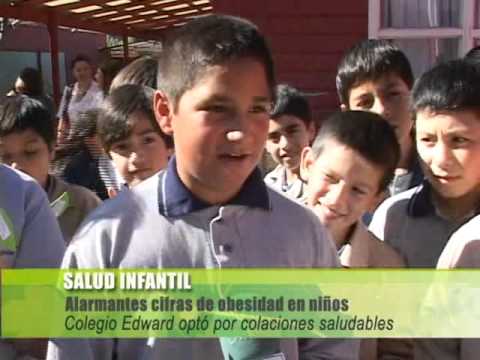 Salud infantil, Colegio Edward Concepcin