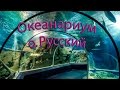 Океанариум на о.  Русский  - уникальные бассейны с аквакультурой/ Лучше смотреть  вживую,.